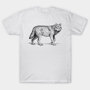 Timber Wolf T-Shirt